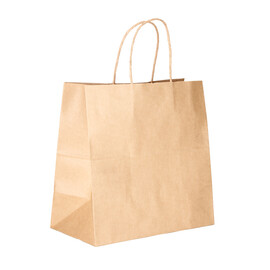 Paper Bag Twisted Handle